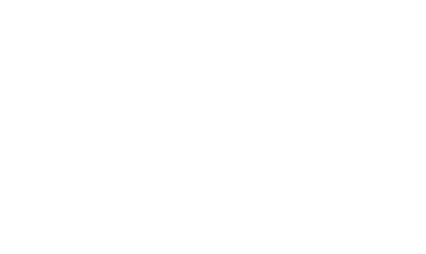 Rakun